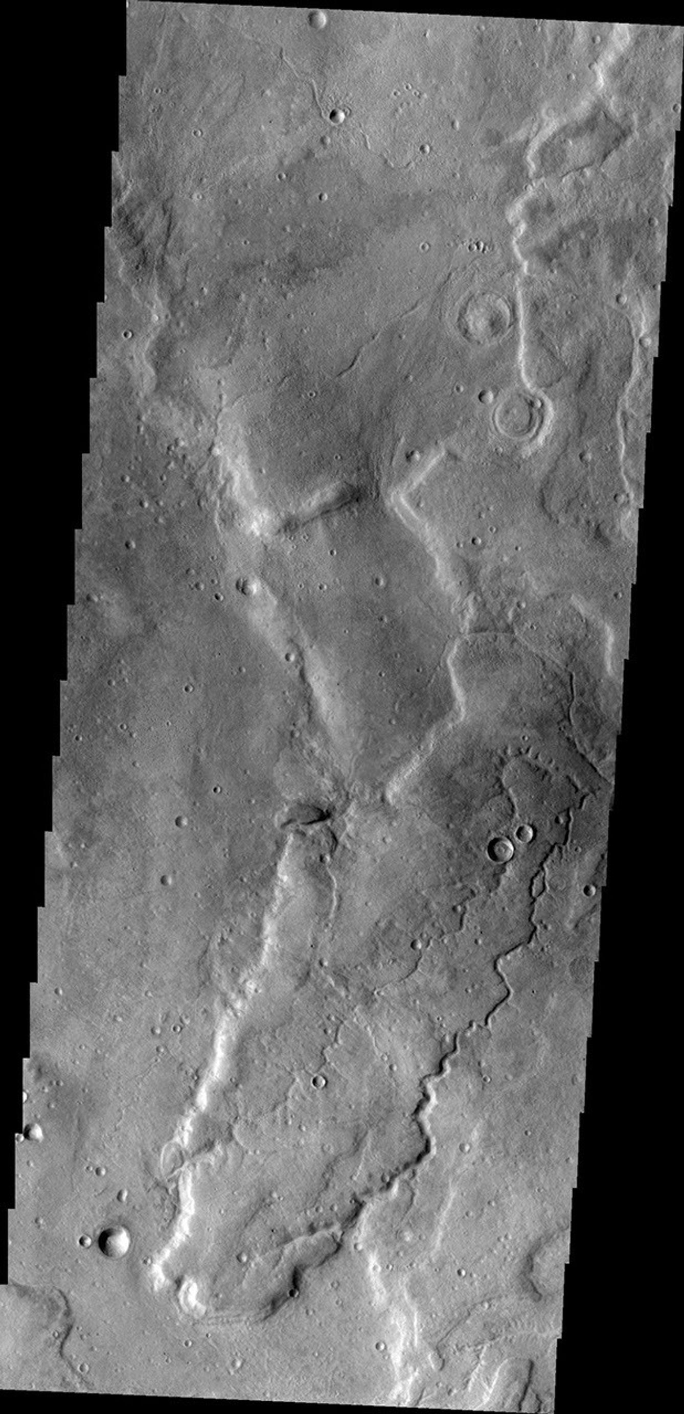 The unnamed channel in this image captured by NASA's 2001 Mars Odyssey spacecraft is located on the northeastern margin of Tempe Terra.