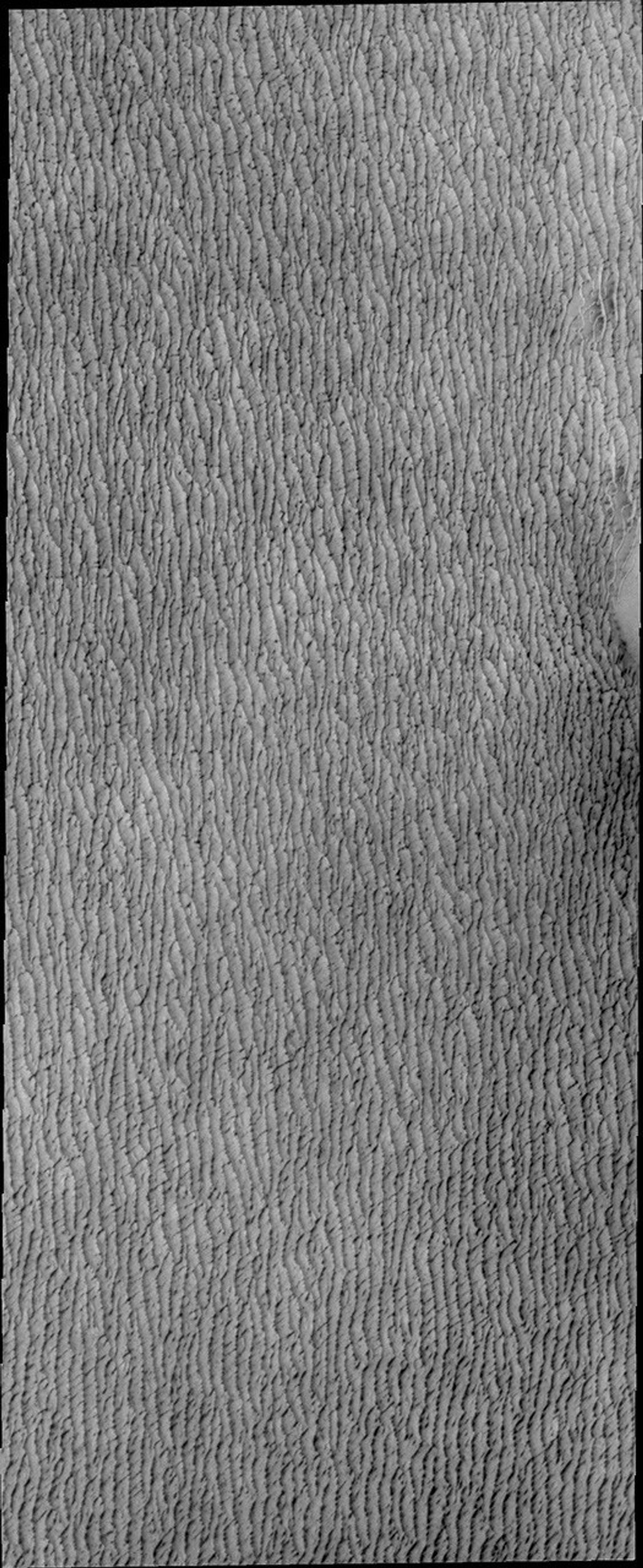 This image from by NASA's 2001 Mars Odyssey spacecraft shows a small portion of the vast region of dunes around the north polar.