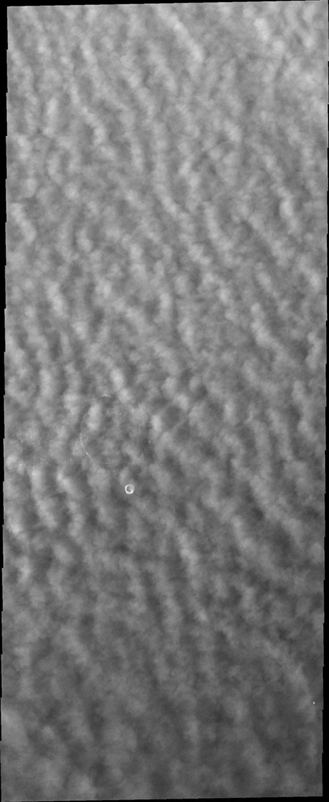 As northern spring progresses, clouds continue to cover large portions of the north polar region. This image captured by NASA's 2001 Mars Odyssey spacecraft.