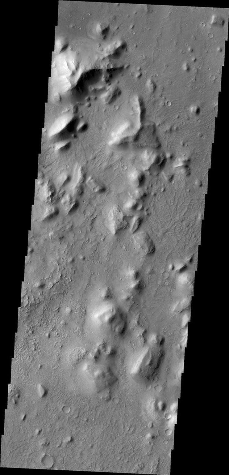 Between the highlands of Terra Cimmeria and the low plains of Elysium Planitia and Nepenthes Planum lies the rugged region called Nepenthes Mensae as seen by NASA's 2001 Mars Odyssey spacecraft.