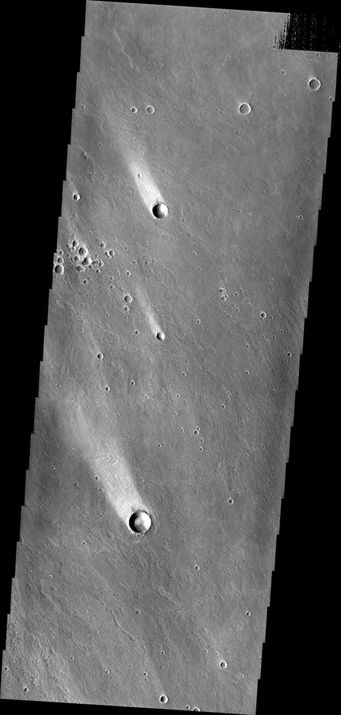 These windstreaks, located north of Olympus Mons, indicate winds from the south-southeast. This image is from NASA's 2001 Mars Odyssey spacecraft.