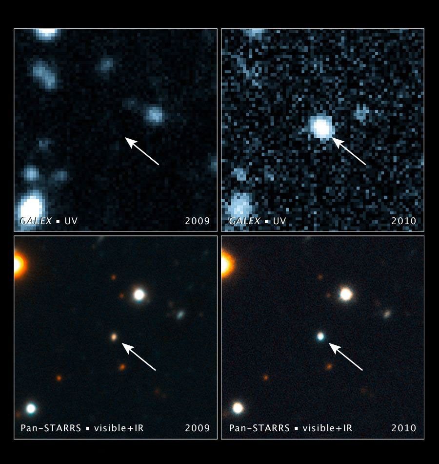 Black Hole Swallows a Star - NASA Science
