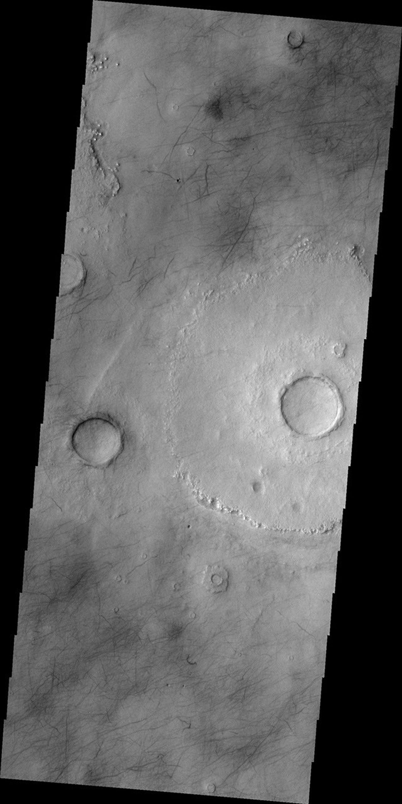 This image from NASA's 2001 Mars Odyssey spacecraft shows dark markings mar the surface of Mars' northern plains. While many may be the tracks of dust devils, some marks may be narrow fractures.