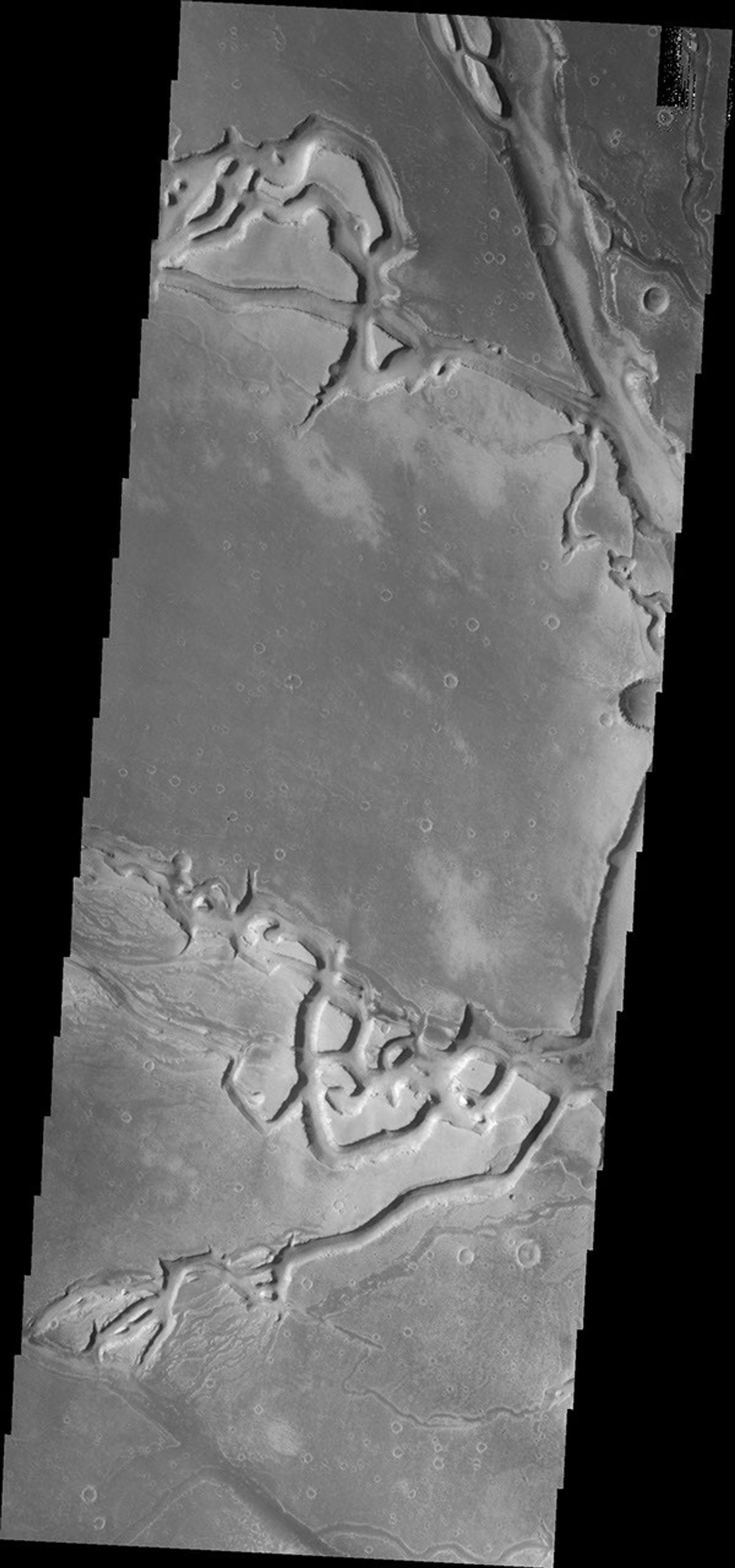 The complex channels in this image from NASA's 2001 Mars Odyssey spacecraft are part of Granicus Valles, located on the western margin of the Elysium volcanic region.
