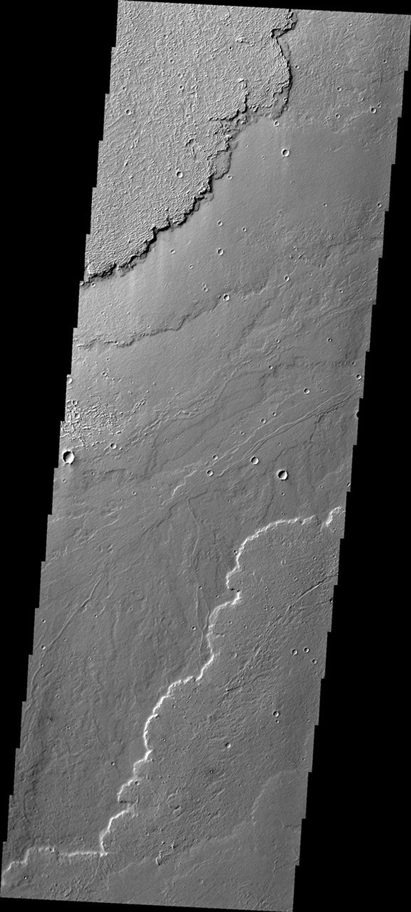 This image from NASA's 2001 Mars Odyssey spacecraft shows different surface textures in some of the lava flows of Daedalia Planum.