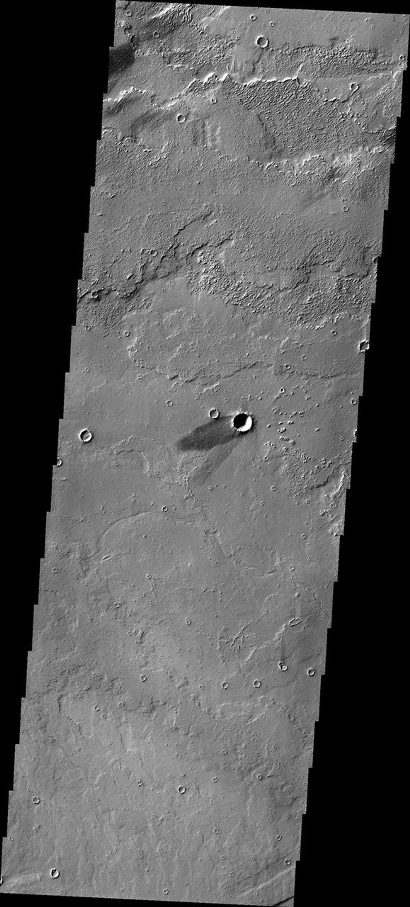 The solitary windstreak in today's image from NASA's 2001 Mars Odyssey spacecraft is located on the volcanic plains of Daedalia Planum. The windstreak appears to represent two different wind directions.
