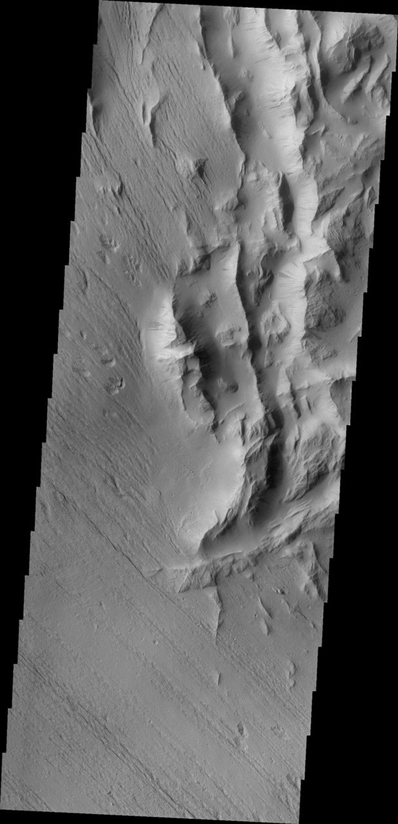 This image from NASA's 2001 Mars Odyssey spacecraft is of Lycus Sulci, located on the western side of Olympus Mons and dominated by multi-direction ridges which contains material less resistant than the ridges to the effects of wind.
