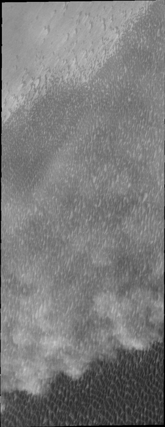 Spring storms are common near the north pole. This image captured by NASA's 2001 Mars Odyssey spacecraft shows a storm front over the extensive dune field which surrounds part of the polar cap.