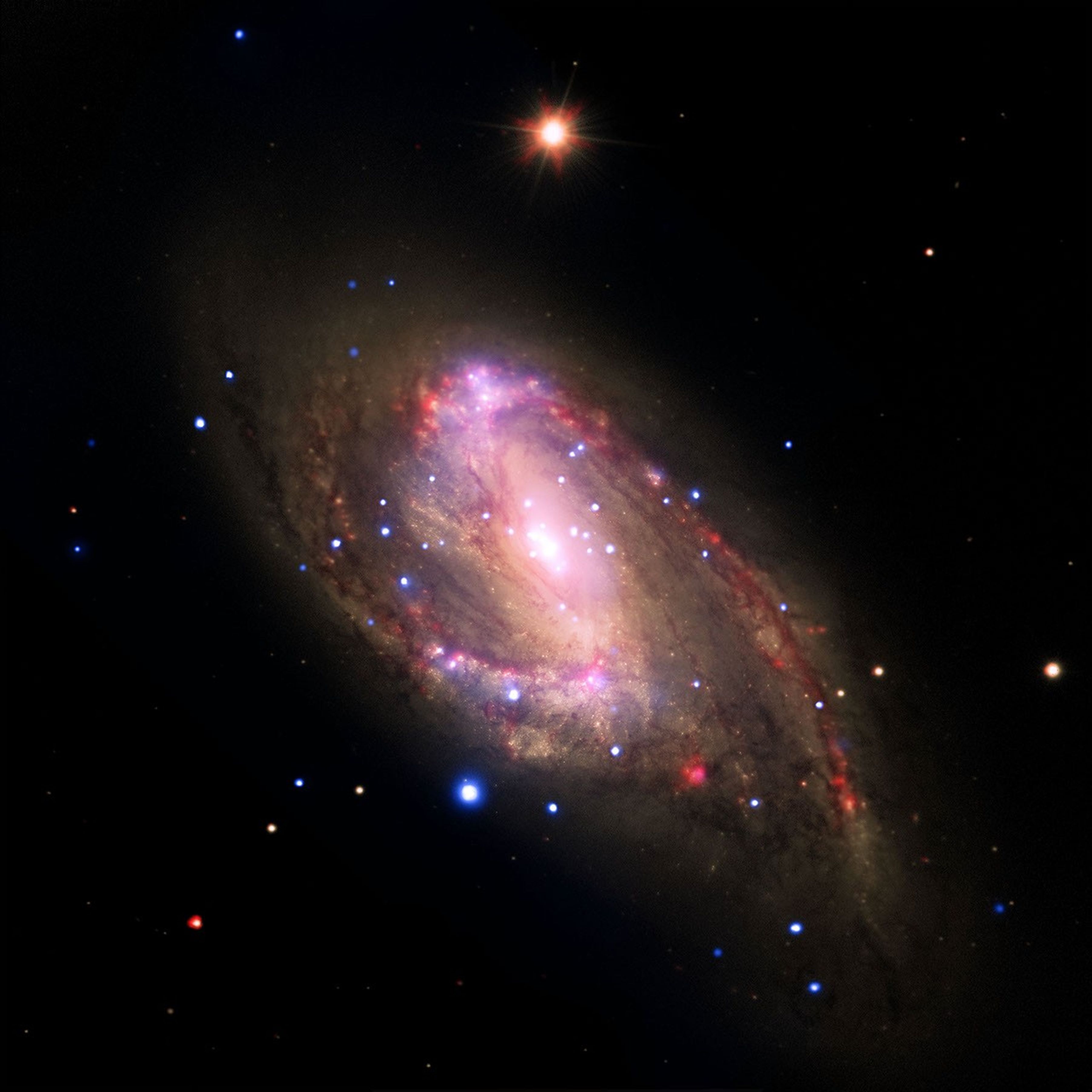 The spiral galaxy NGC 3627, located about 30 million light years from Earth as seen by four NASA telescopes; inset shows the central region, which contains a bright X-ray source that is likely powered by material falling onto a supermassive black hole.