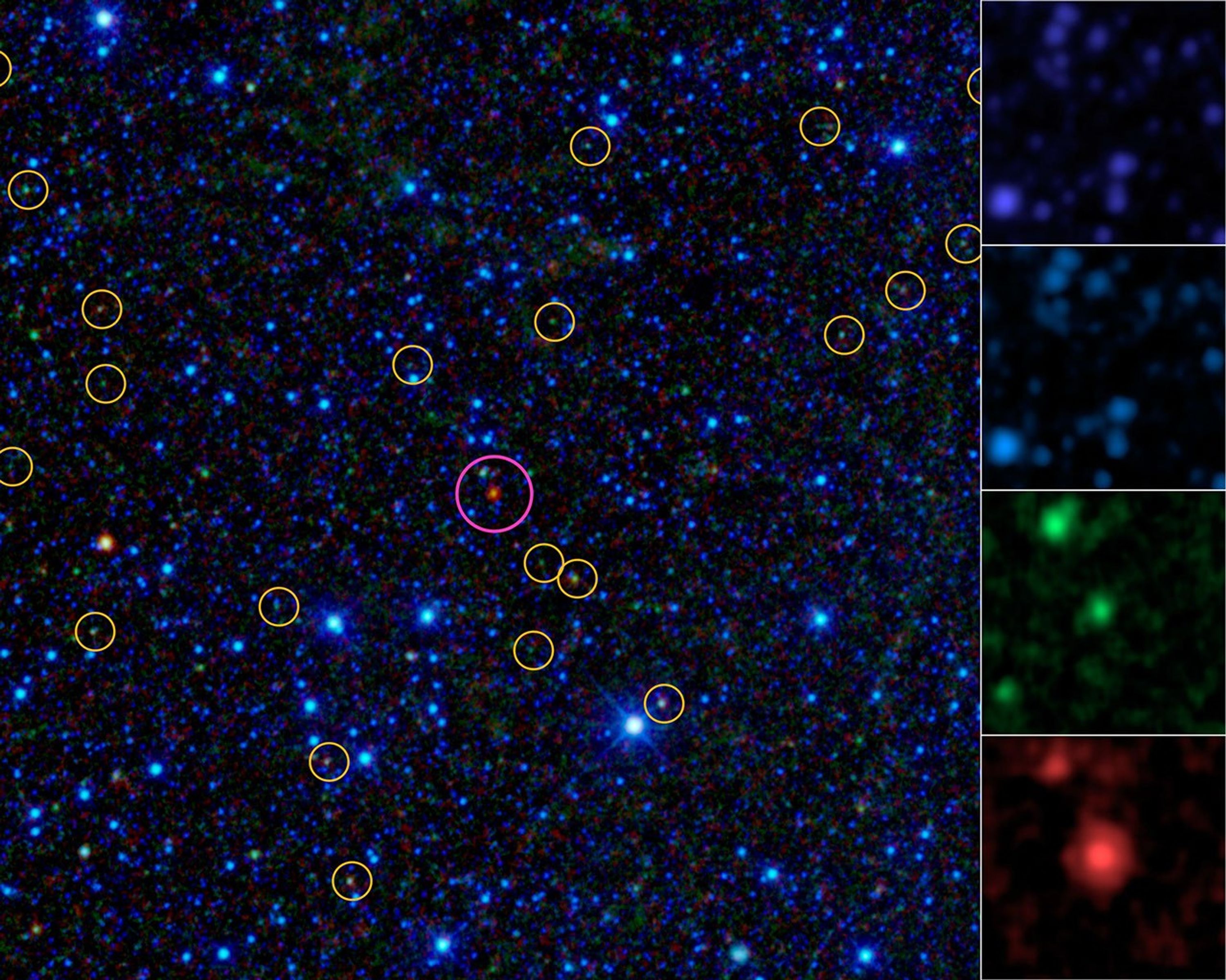 This image is a portion of the all-sky survey from NASA's WISE. It highlights the first of about 1,000 'hot DOGs' found by the mission (magenta circle). Hot DOGs are hot dust-obscured galaxies and are among the most powerful galaxies known.
