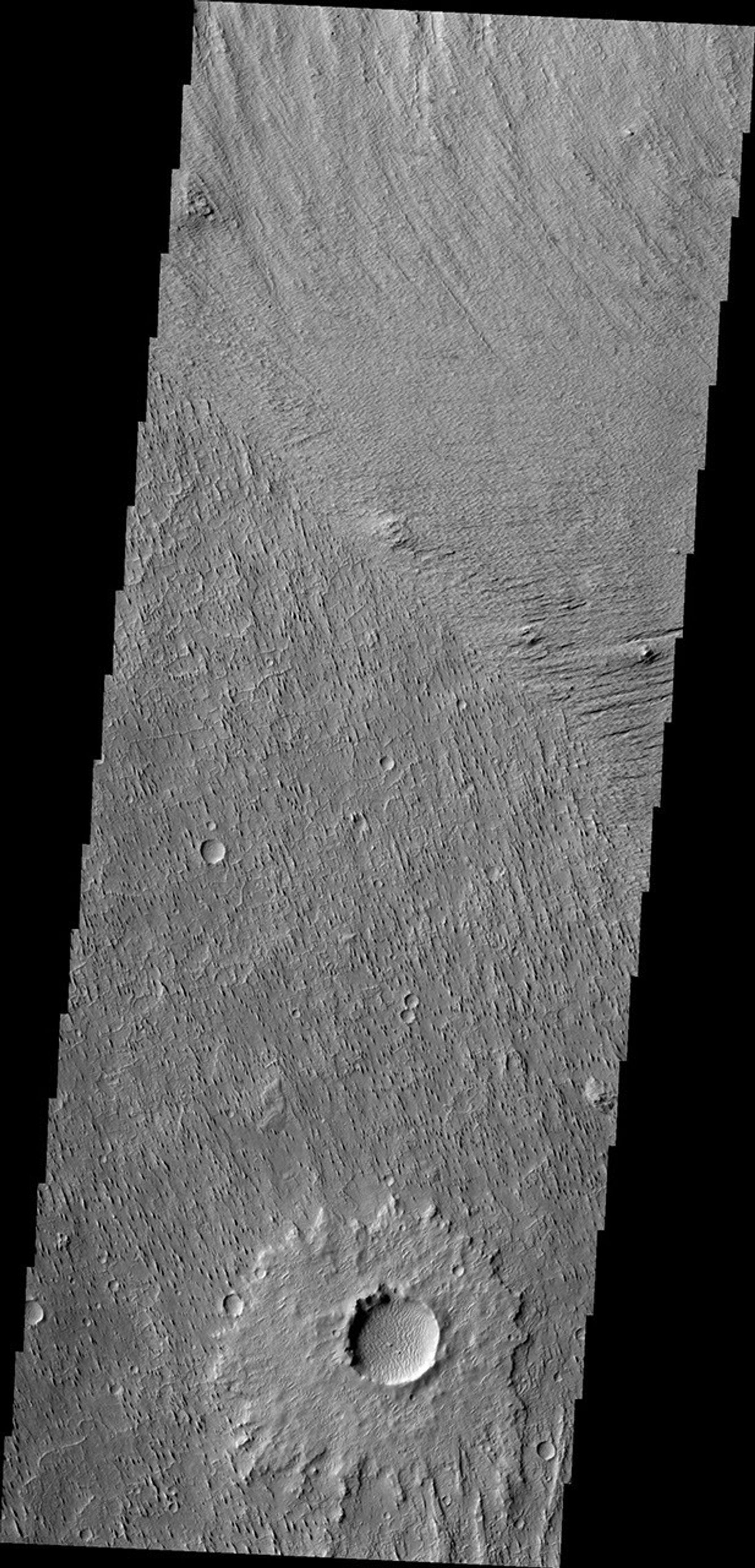 This image from NASA's 2001 Mars Odyssey spacecraft of Zephyria Planum on Mars shows erosion in different orientations, related to different wind directions.