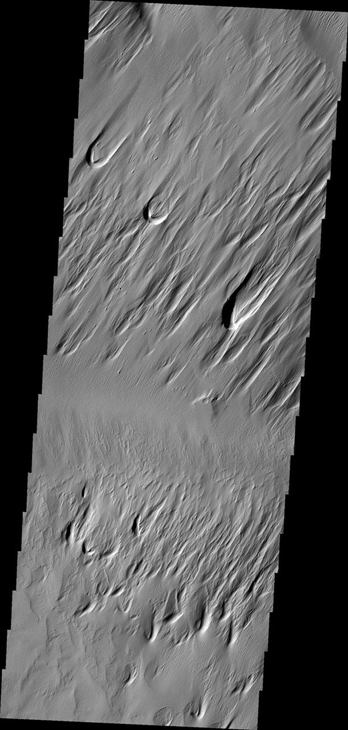 This image captured by NASA's 2001 Mars Odyssey spacecraft of Eumenides Dorsum on Mars shows erosion of the surface material by wind action.