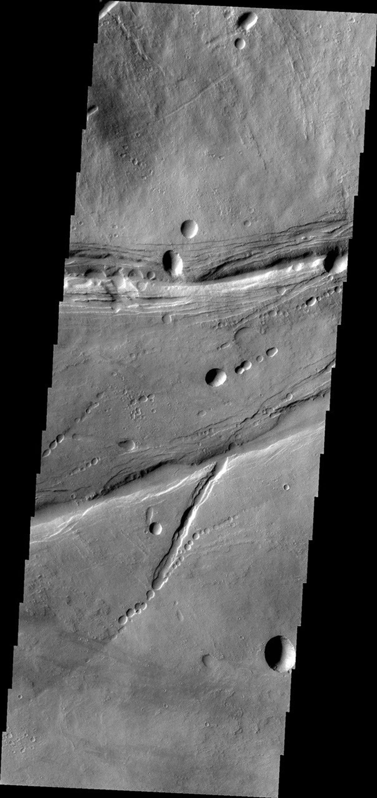 The linear and circular features in this image from NASA's Mars Odyssey spacecraft are all volcanic and are located at the base of the southern flank of Ascraeus Mons on Mars.