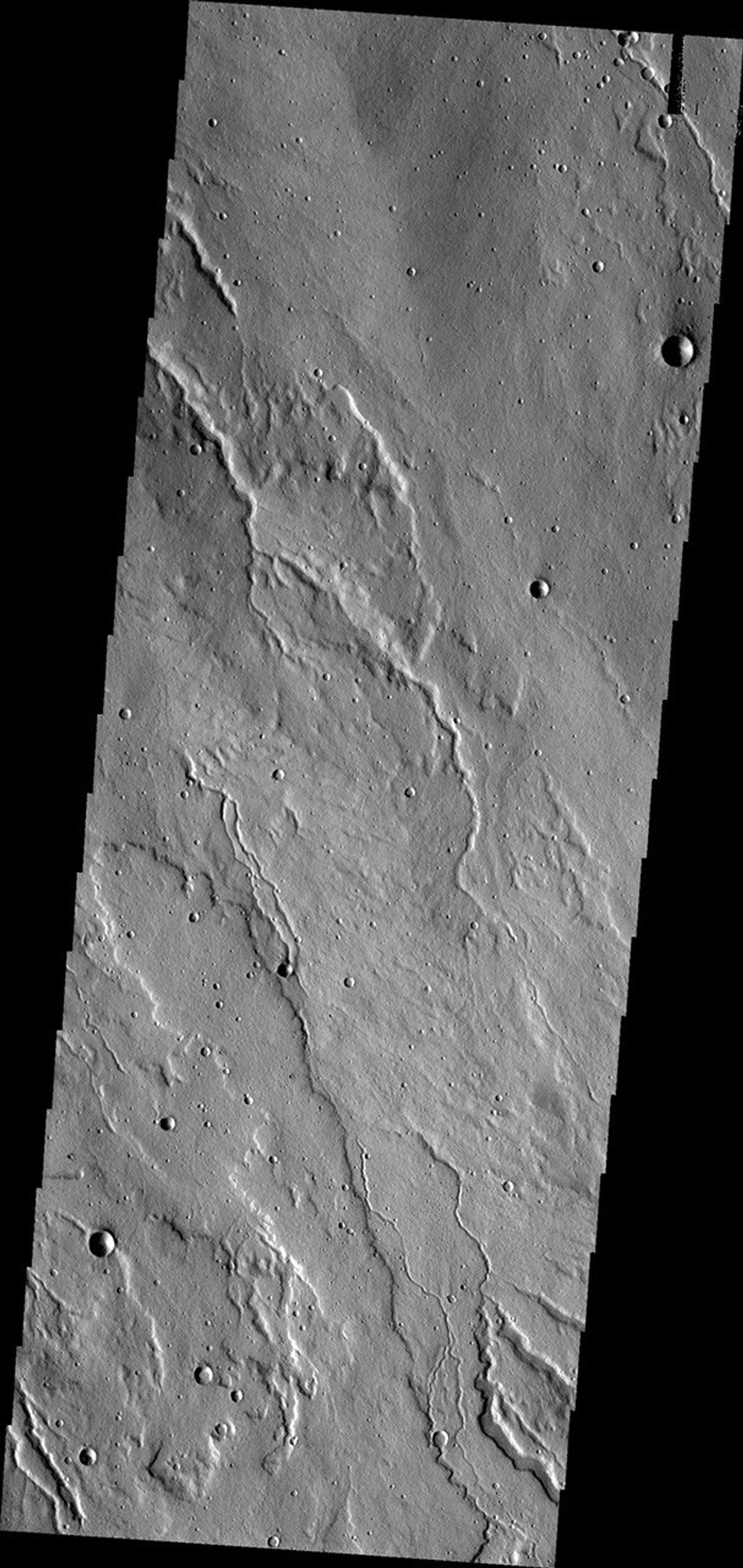 The channels in this image from NASA's Mars Odyssey spacecraft are located on the western flank of Alba Mons on Mars.