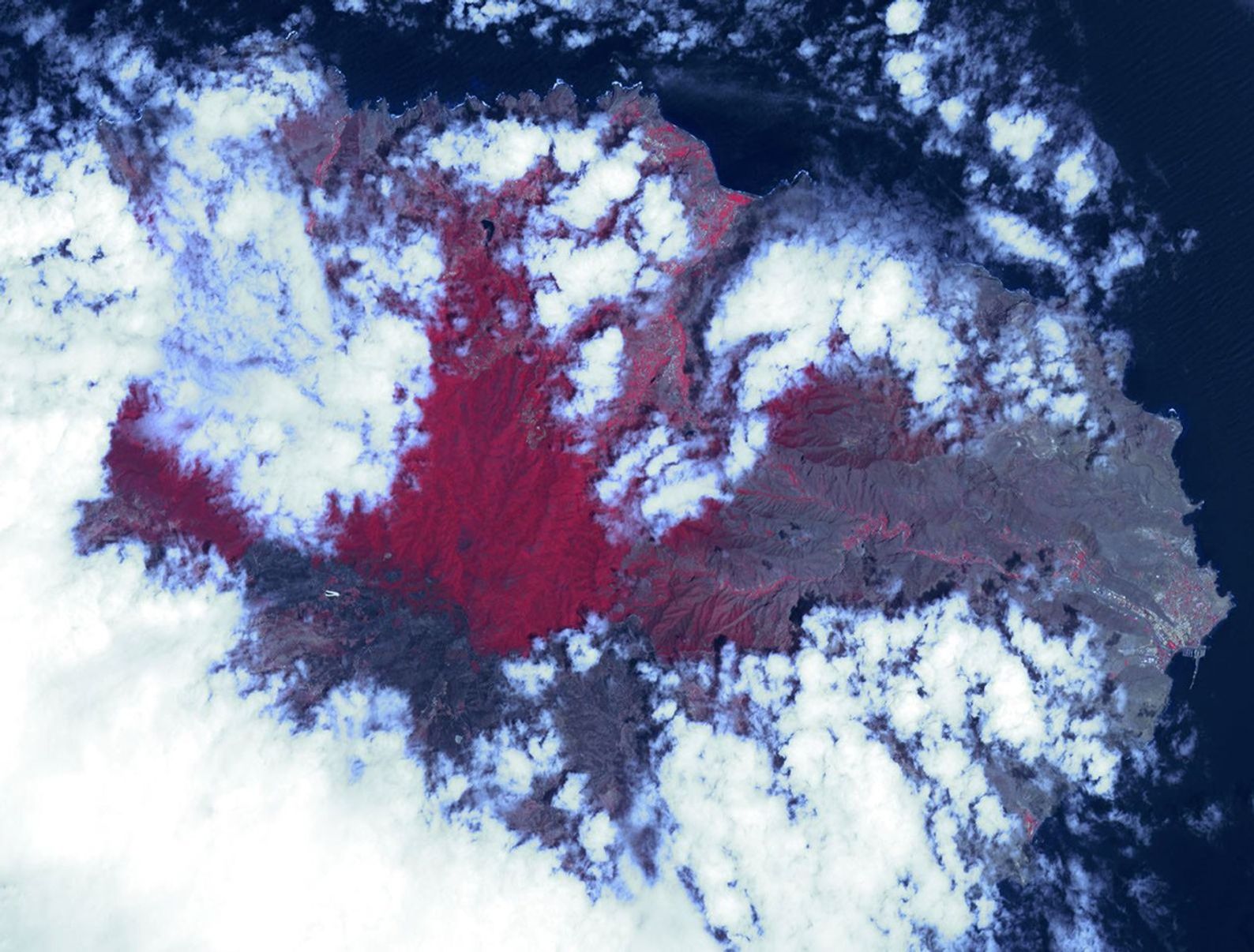 NASA's Terra spacecraft acquired this image, a birdseye view of the Canary Islands wildfire, on Aug. 17, 2012. The main town of San Sebastian can be seen on the eastern shore of the island.