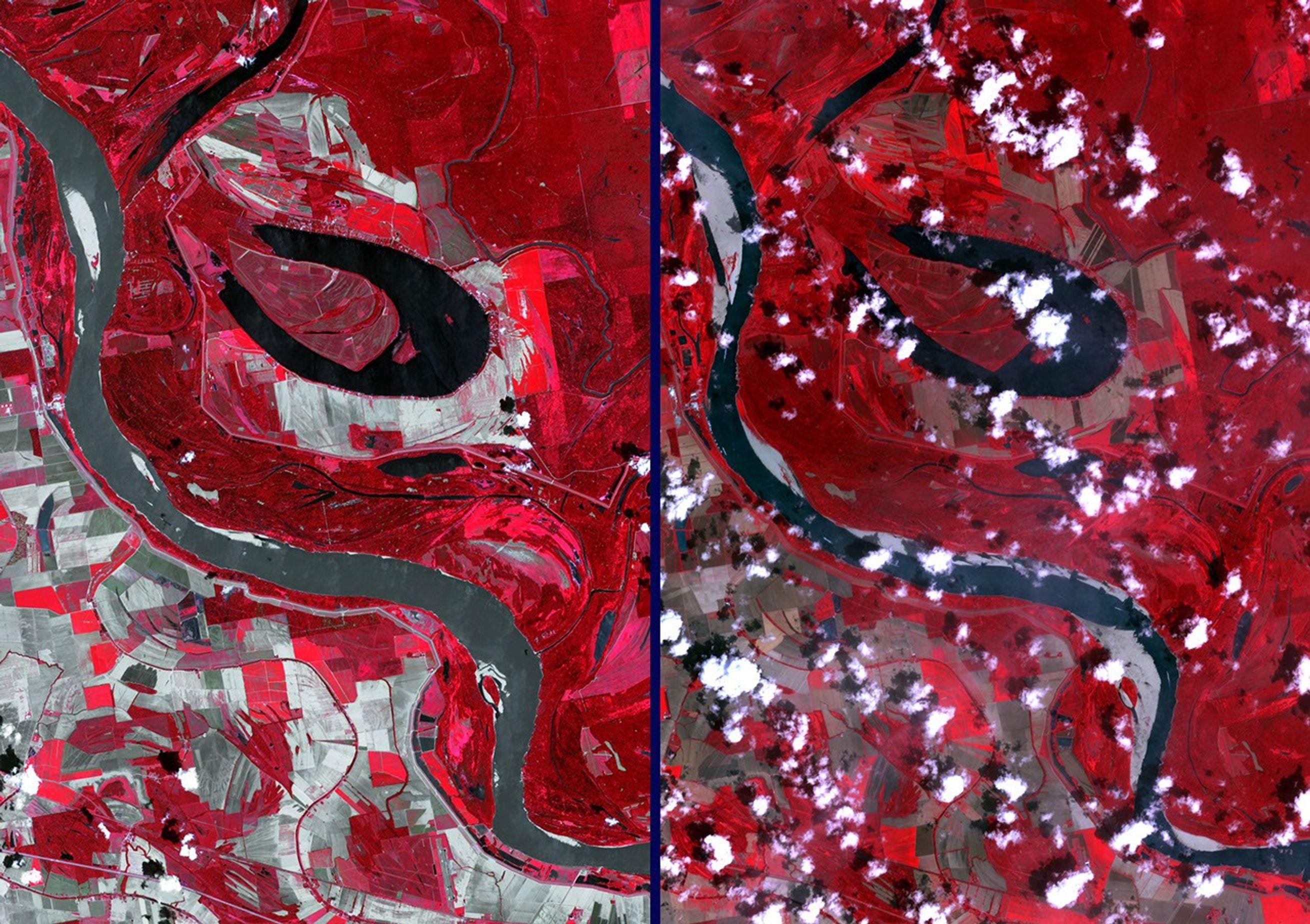 NASA's Terra spacecraft acquired this image on Aug. 24, 2012, 13 miles (20 kilometers) north of Vicksburg, Miss., as drought continued to afflict the U.S. Midwest, water levels of the Mississippi River approached historic lows.