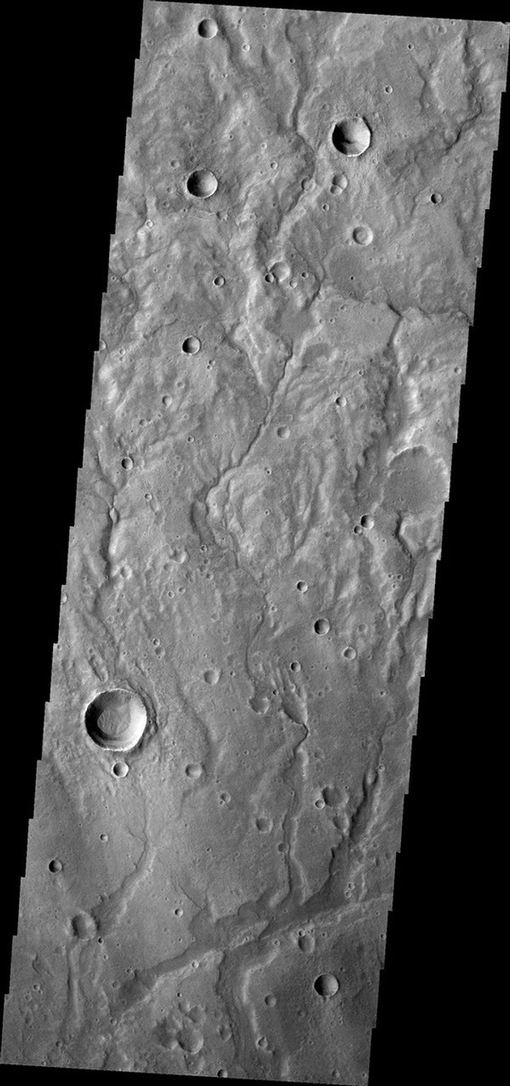 A network of large and small channels dissect this highland region in Terra Cimmeria, as shown in this image captured by NASA's 2001 Mars Odyssey spacecraft.