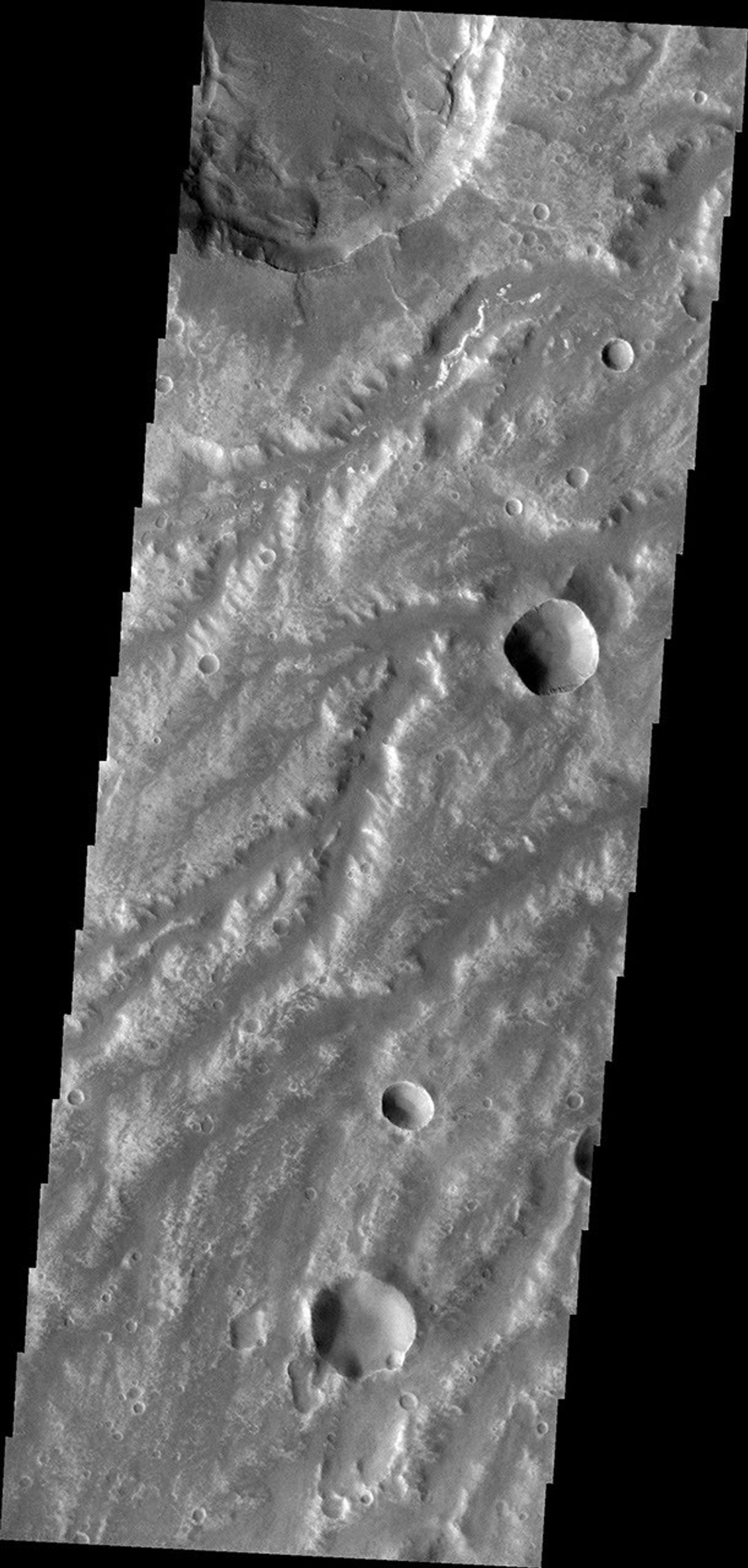The network of channels in this image captured by NASA's 2001 Mars Odyssey spacecraft are part of Arda Valles.