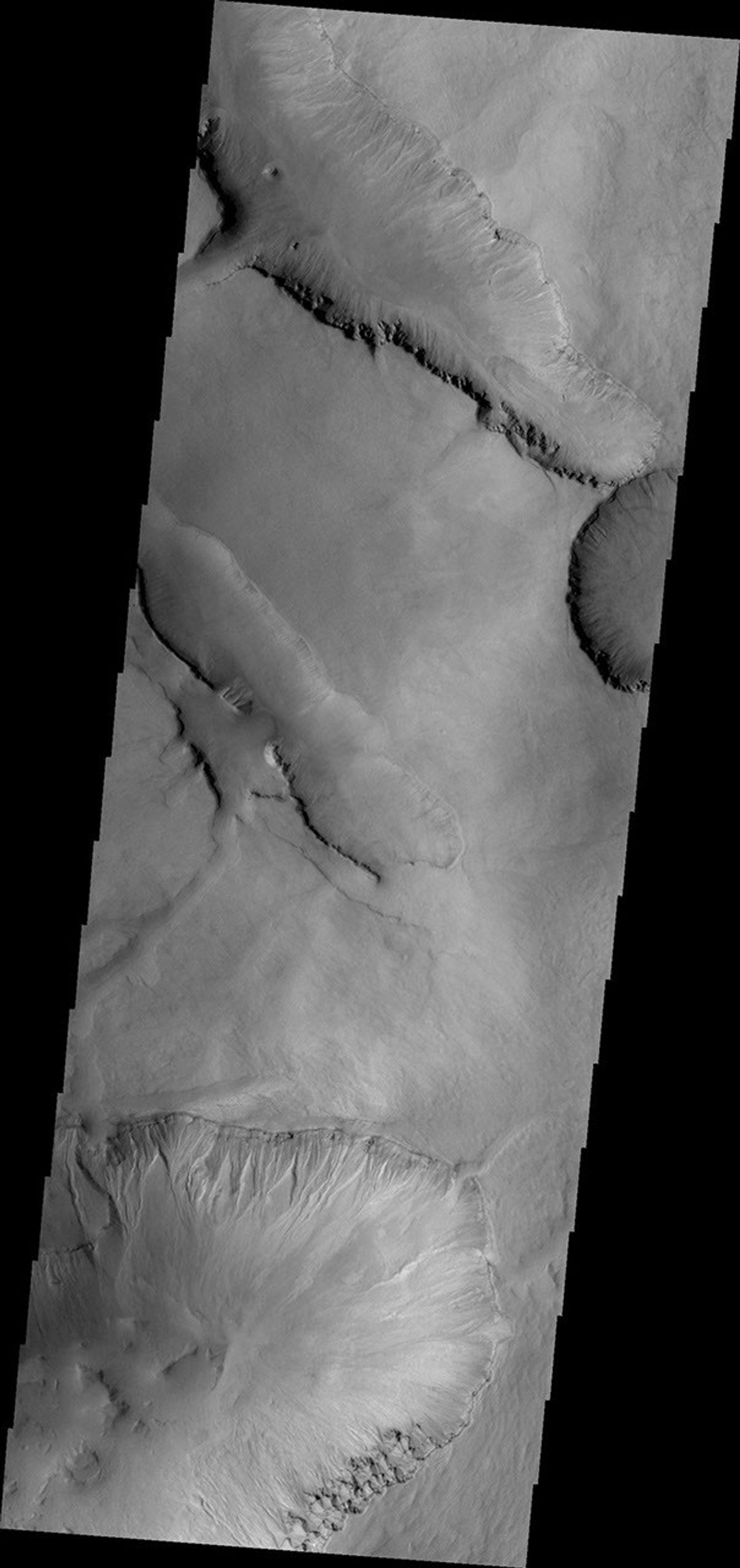 This image captured by NASA's 2001 Mars Odyssey spacecraft shows gullies on the northern face of one of the large depressions that mark the inner rim of Asimov Crater.