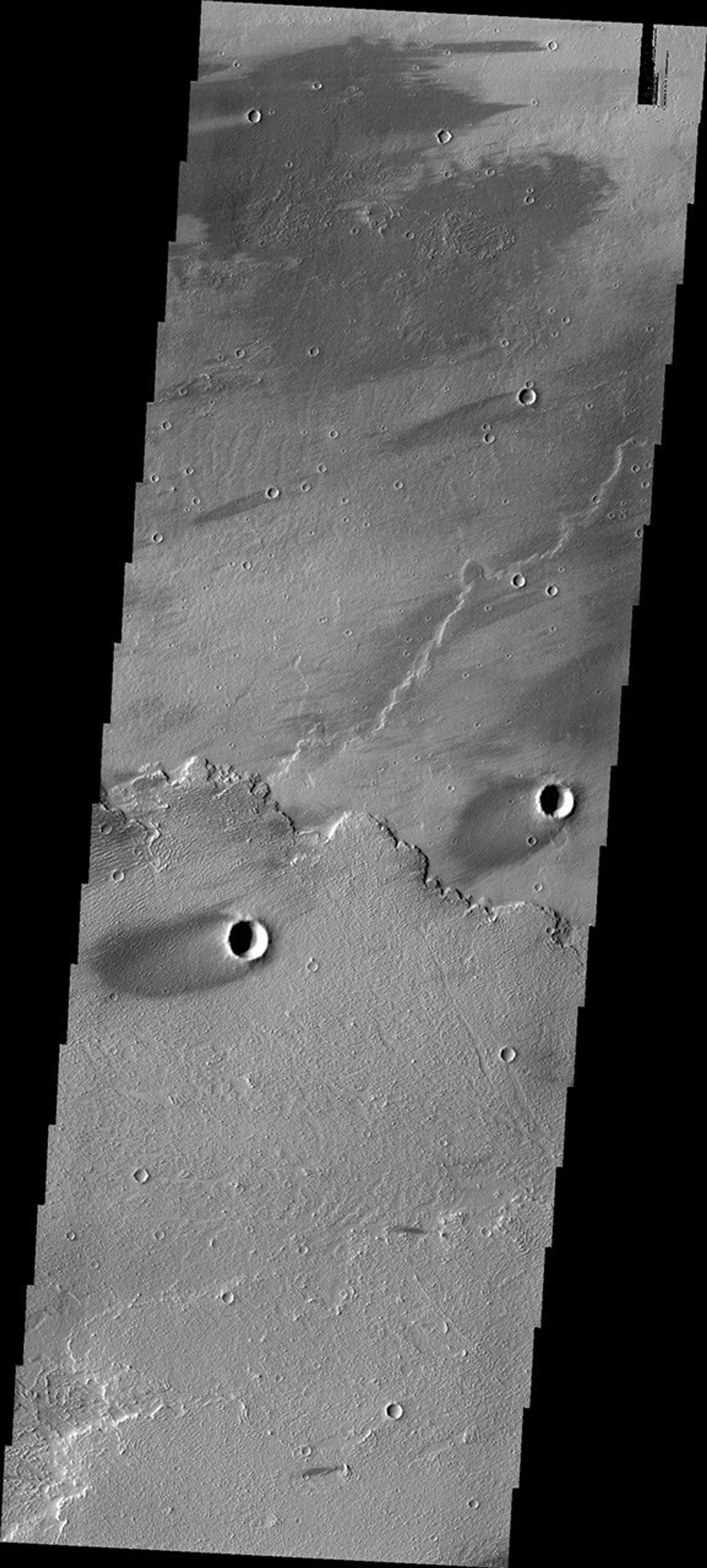 The windstreaks in this image are located in Daedalia Planum as seen by NASA's 2001 Mars Odyssey spacecraft.