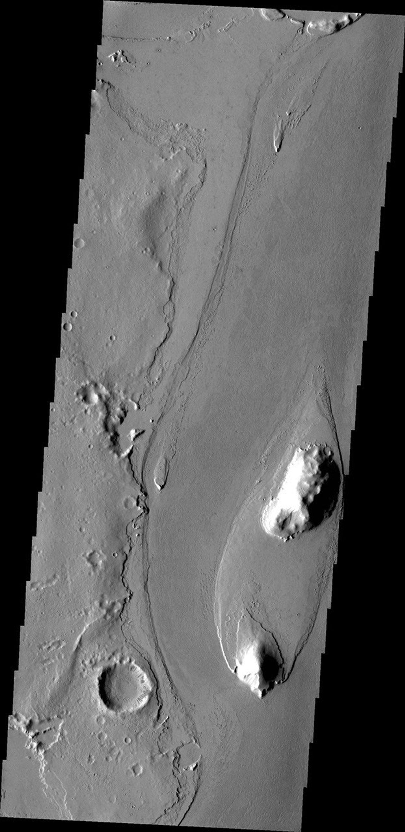 The streamlined island in this image captured by NASA's 2001 Mars Odyssey spacecraft is located in the channel of Marte Vallis.