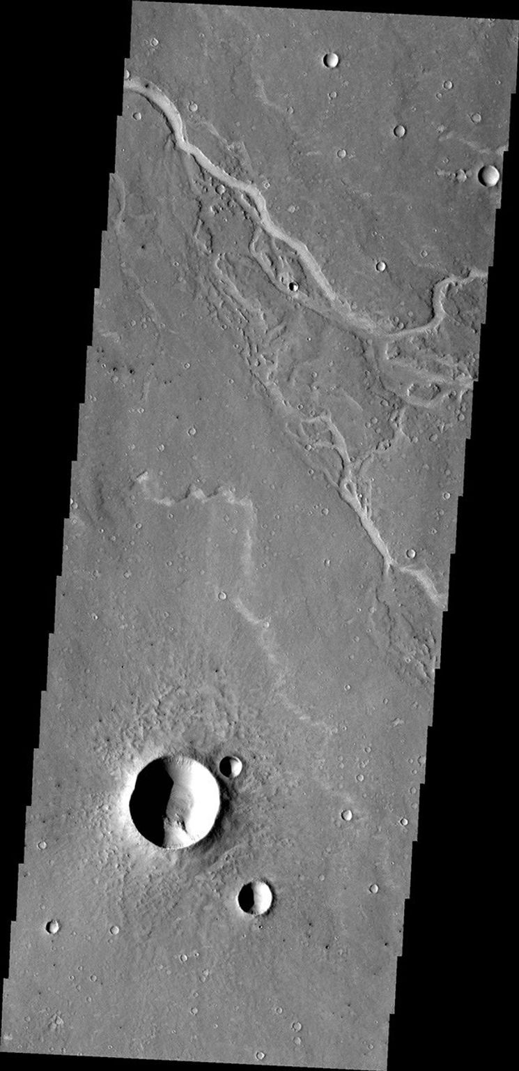 The unnamed channels in this image from NASA's 2001 Mars Odyssey spacecraft are located southeast of Albor Tholus.