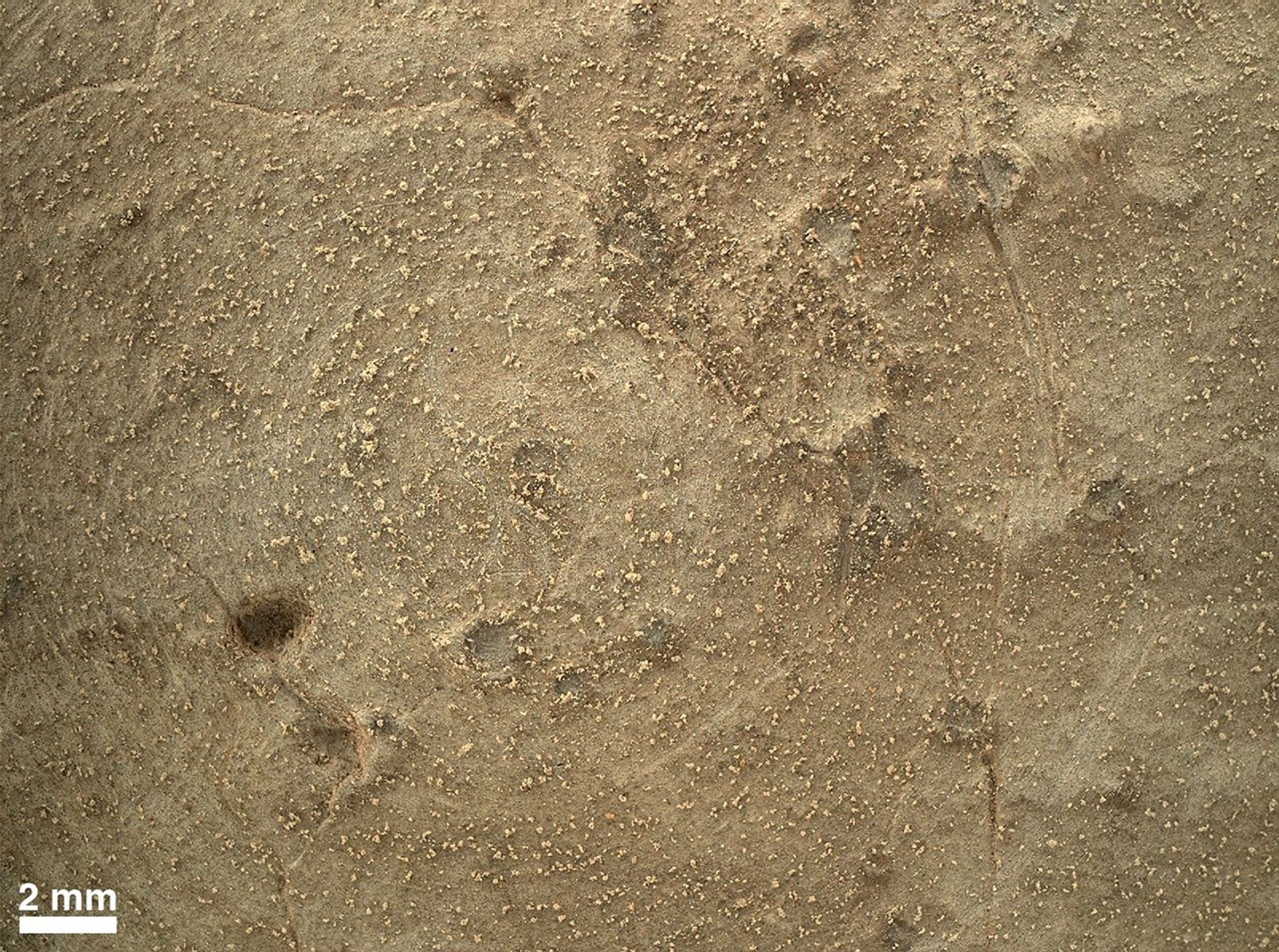 This image from the MAHLI camera on NASA's Mars rover Curiosity shows details of rock texture and color in an area where the rover's Dust Removal Tool (DRT) brushed away dust that was on the rock.