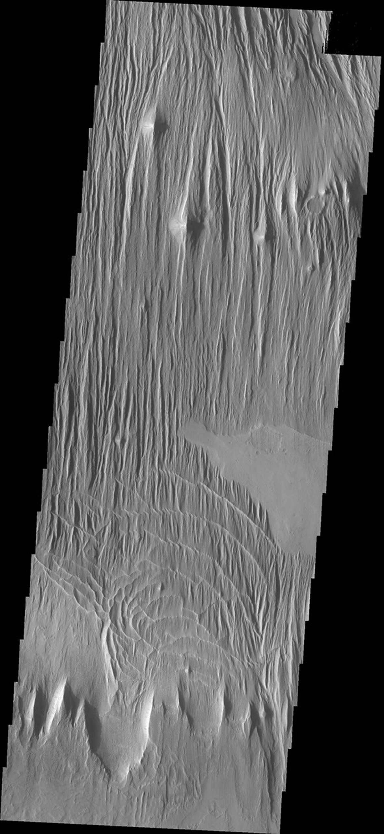 The surface in this image captured by NASA's 2001 Mars Odyssey spacecraft has been scoured by the wind, producing the linear ridges/valleys.