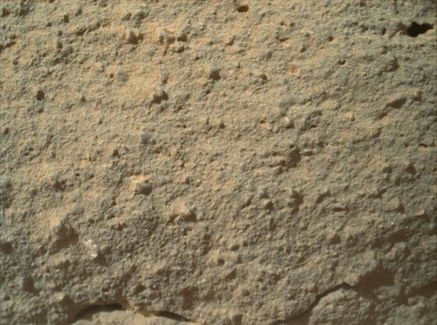 This image from NASA's Curiosity rover shows the great diversity of grains found on the surface of a Martian rock.