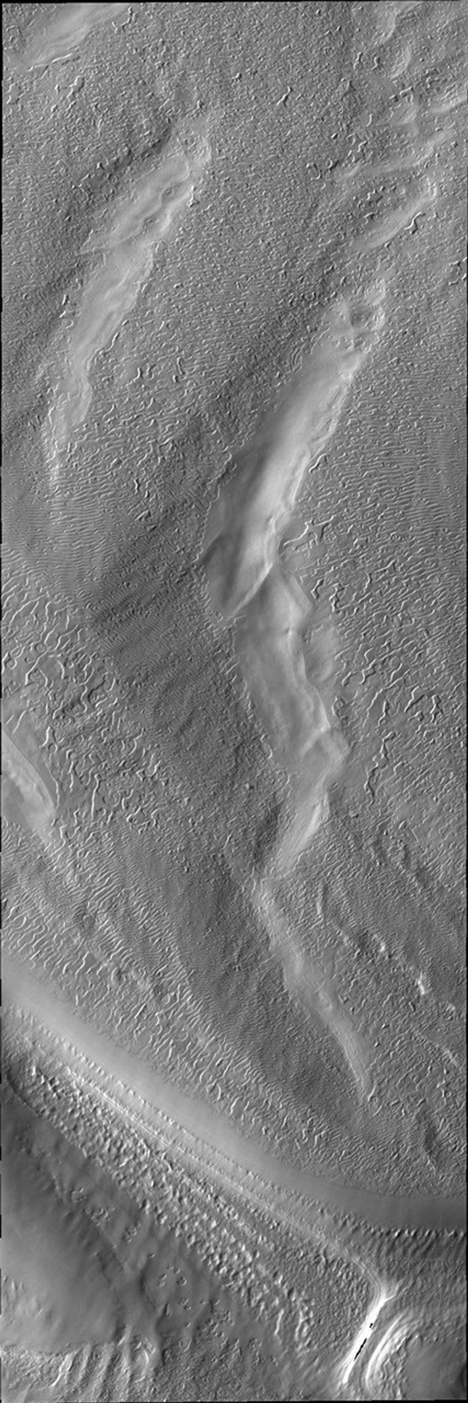 This image from NASA's 2001 Mars Odyssey spacecraft shows a region of the south pole where the surface has developed linear markings, a pattern not unlike a thumbprint.