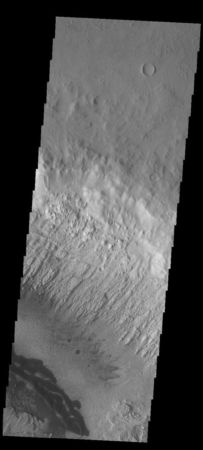 This image captured by NASA's 2001 Mars Odyssey spacecraft shows some the sand dunes on the floor of Danielson Crater.