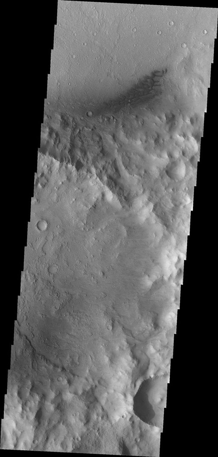 The dark dunes in this image from NASA's 2001 Mars Odyssey spacecraft are located on the floor of Escalante Crater.