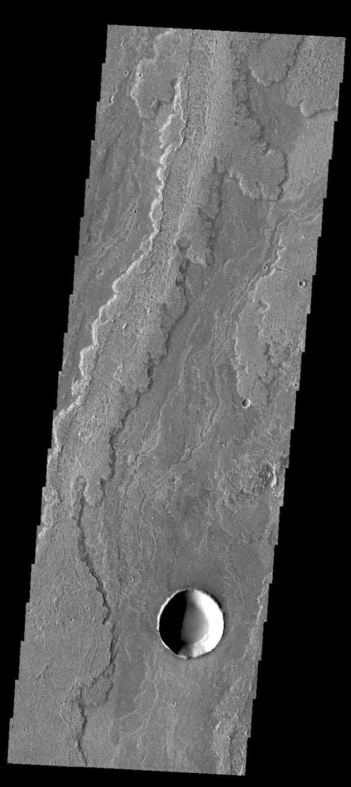 This image captured by NASA's 2001 Mars Odyssey spacecraft shows a small portion of Daedalia Planun, the result of vast eruptions of Arsia Mons.