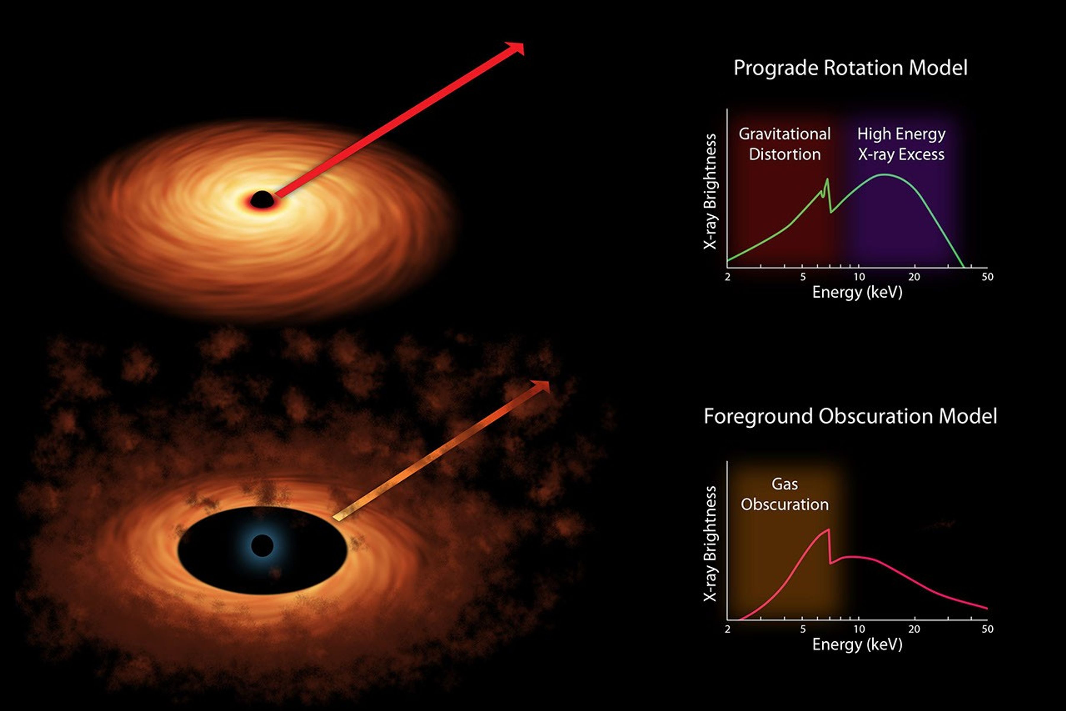 Scientists measure the spin rates of supermassive black holes by spreading the X-ray light into different colors. The light comes from accretion disks that swirl around black holes, as shown in both of the artist's concepts.