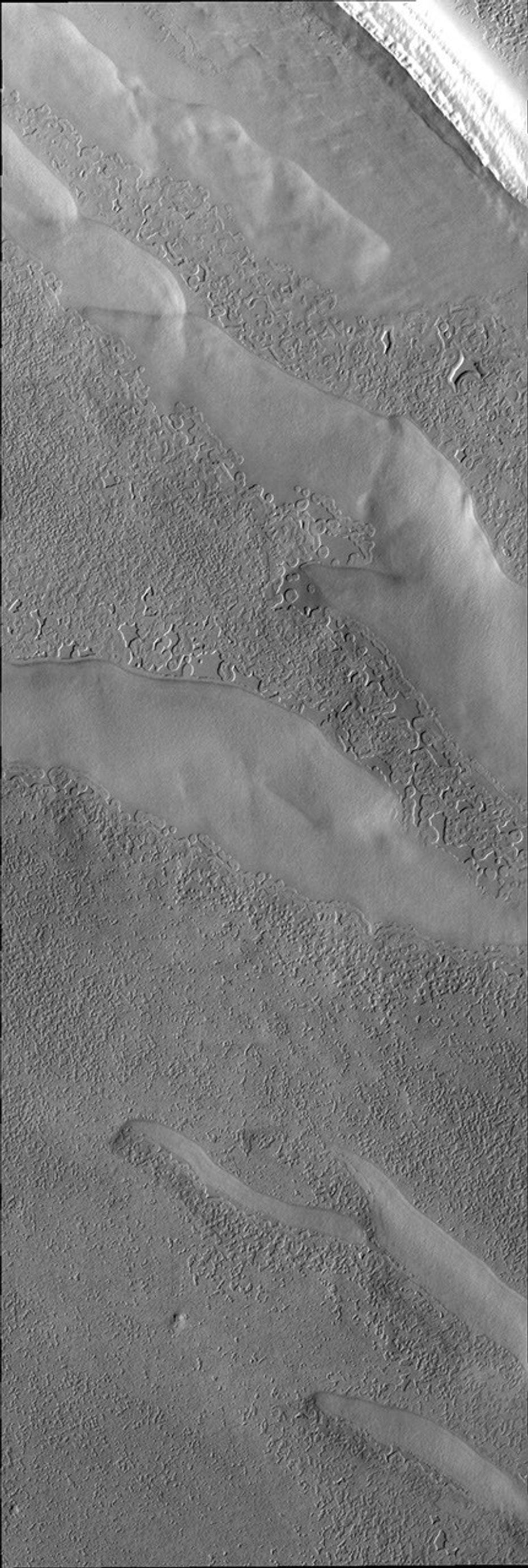 Many different surface textures are found on the polar caps. This image captured by NASA's 2001 Mars Odyssey spacecraft shows part of the surface of the south polar cap.