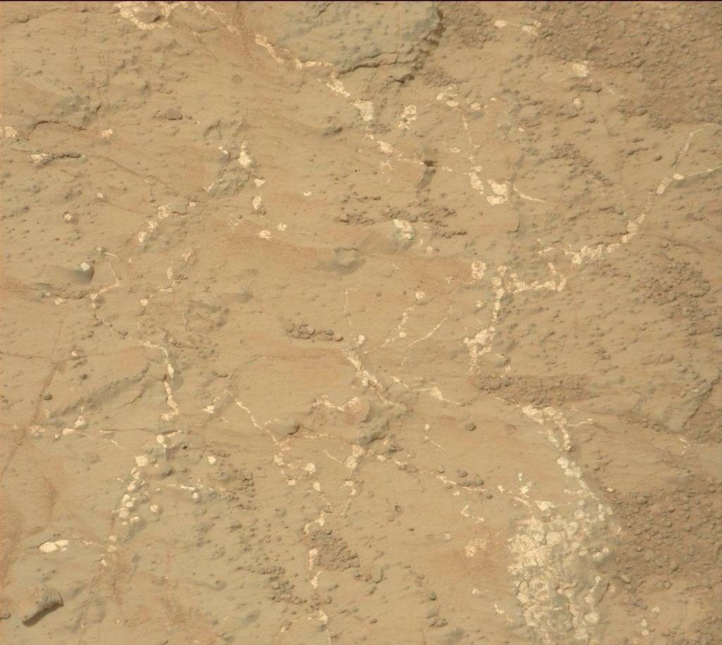 Light-toned nodules and veins of a patch of sedimentary rock called 'Knorr' are visible in this image from NASA's Mars rover Curiosity.