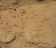 click here for figure 2 for PIA16927