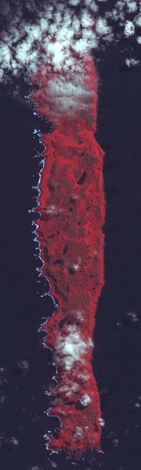 This image from NASA's Terra spacecraft shows Macquarie Island which lies halfway between New Zealand and Antarctica, and is part of Tasmania.