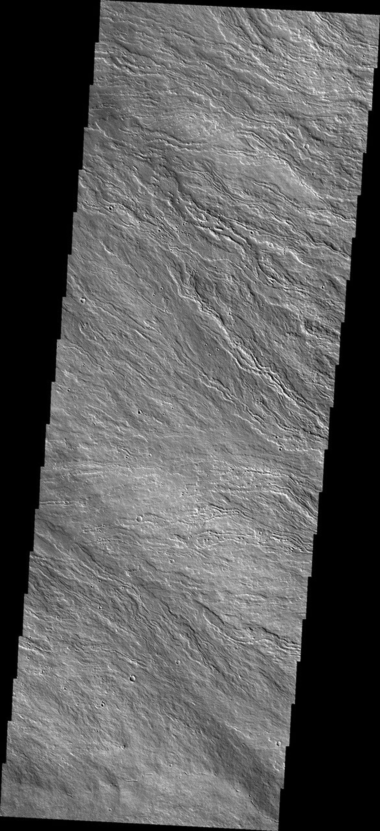 The lava flows in this image captured by NASA's 2001 Mars Odyssey spacecraft are located on Olympus Mons, the largest volcano in the solar system.