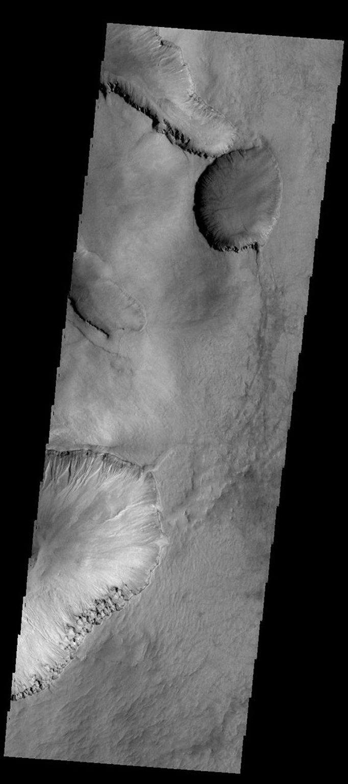 The depressions in this image captured by NASA's 2001 Mars Odyssey spacecraft are located in the material that fills Asimov Crater.