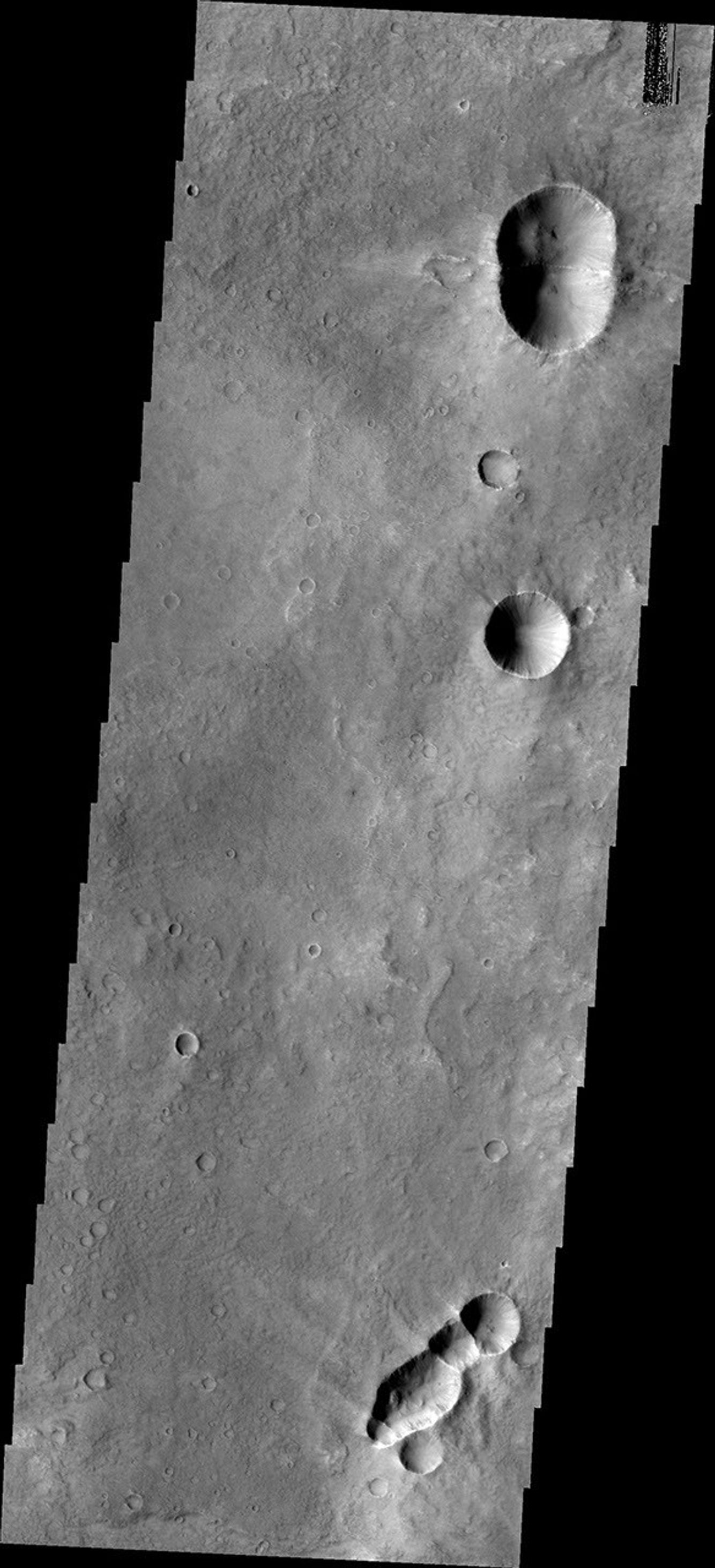 This image from NASA's Mars Odyssey spacecraft shows connected craters that look like bugs, perhaps a bumble bee at the top and a wasp at the bottom.