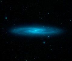 Figure 2 for PIA17256