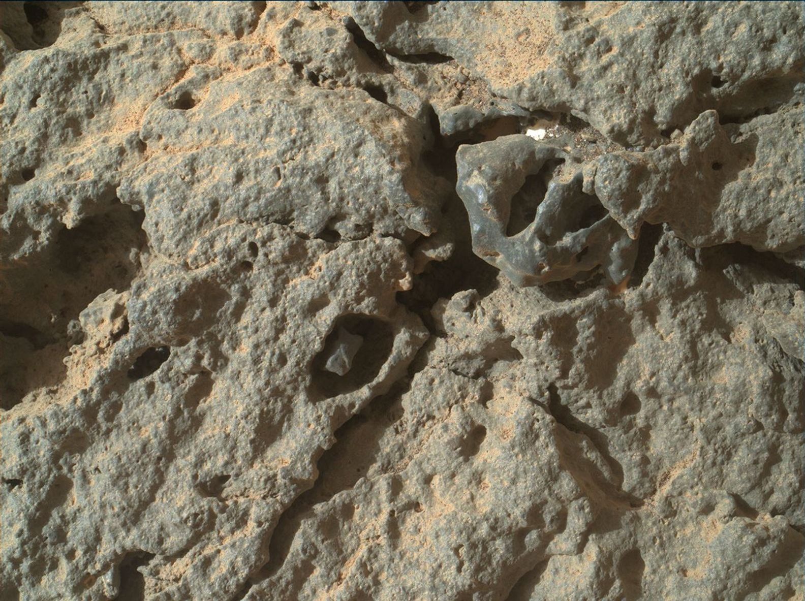 This image from NASA's rover Curiosity shows that many holes in the rock are occupied by what appears to be material different from that of the main rock itself.