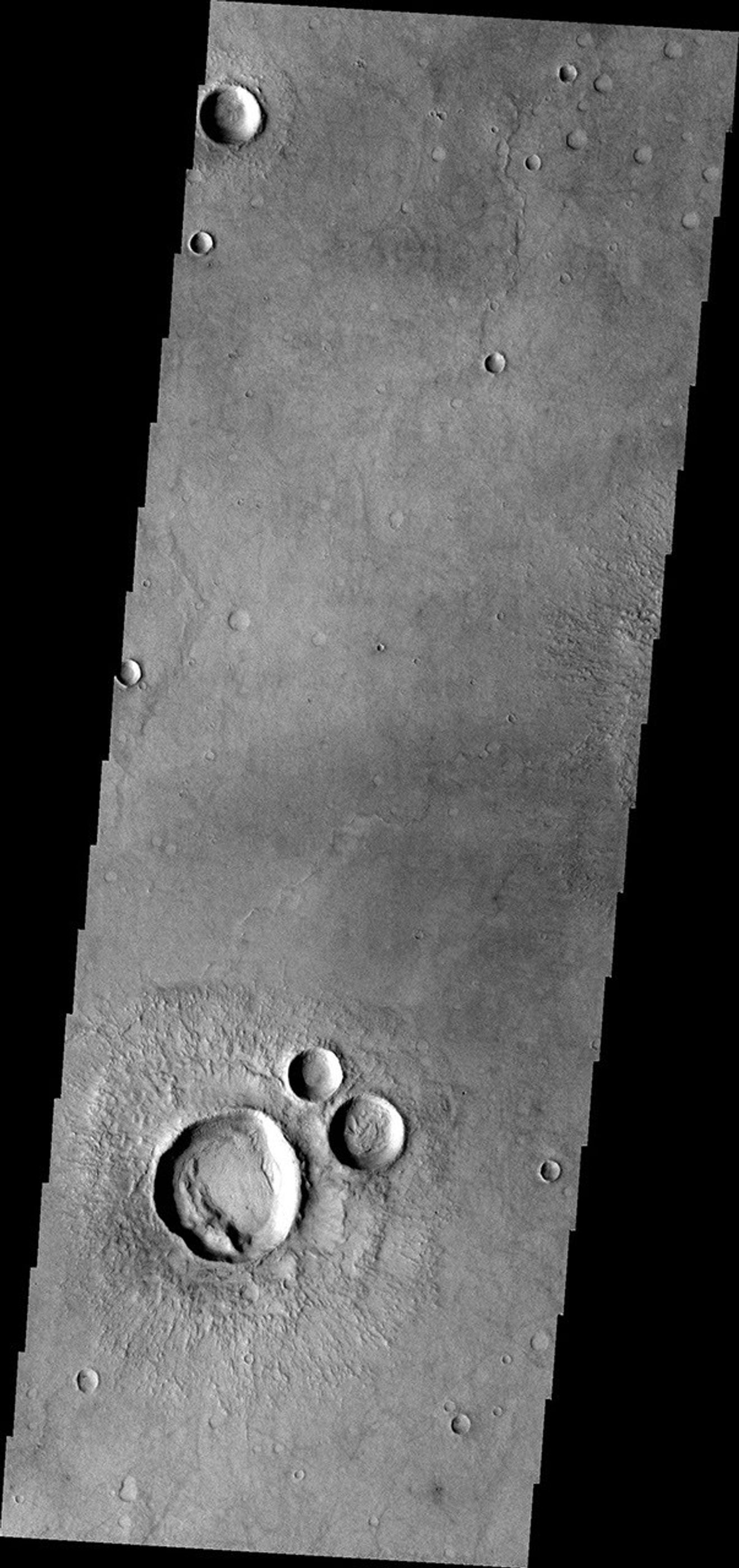 This image from NASA's Mars Odyssey spacecraft shows a group of craters on Mars that resemble a muppet.
