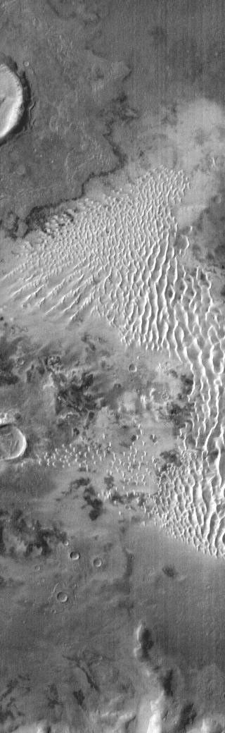This daytime IR image from NASA's Mars Odyssey spacecraft shows part of the dune field on the floor of Kaiser Crater. The dune sand is warmer than the surrounding materials, so it appears bright in the IR image.