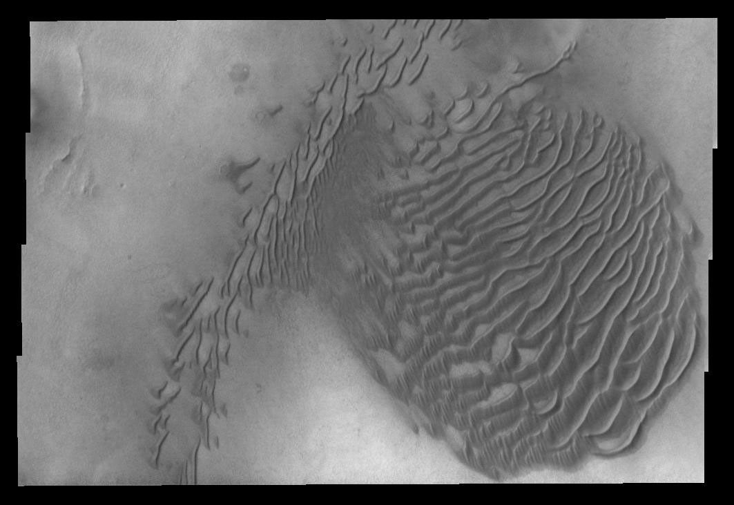 This image captured by NASA's 2001 Mars Odyssey spacecraft shows dunes on the floor of an unnamed crater in Terra Sirenum on Mars.
