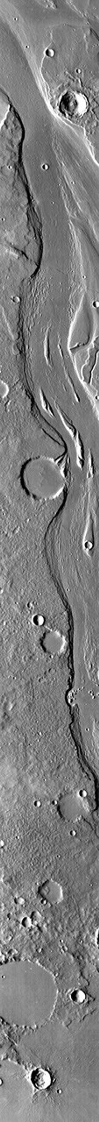 This IR image from NASA's 2001 Mars Odyssey spacecraft shows streamlined islands in the channel of Mangala Valles.