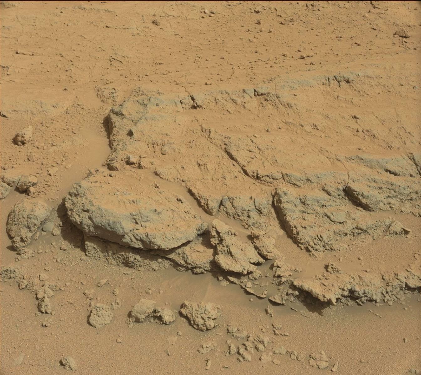 For at least a couple of days, the science team of NASA's Mars rover Curiosity is focused on a full-bore science campaign at a tantalizing, rocky site informally called 'Darwin.'