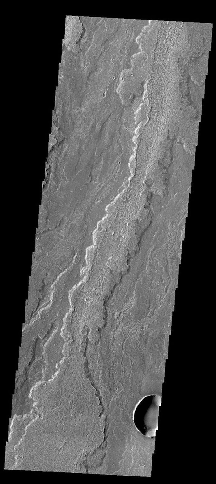 This image captured by NASA's 2001 Mars Odyssey spacecraft shows part of the extensive lava flows that comprise Daedalia Planum.