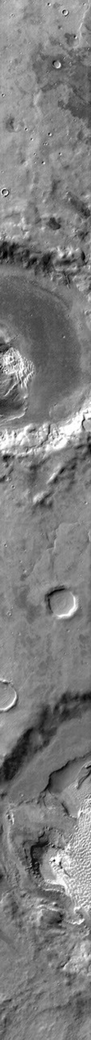 This infrared image from NASA's 2001 Mars Odyssey spacecraft shows part of the dune field on the floor of Rabe Crater. The dunes are 'brighter' than the surrounding material, indicating that they are warmer.